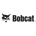 Bobcat